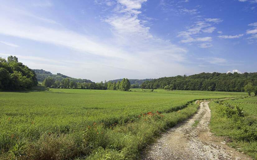 Colline moreniche del Garda